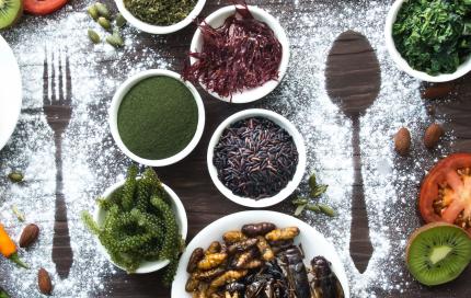 Ingrediënten novel food