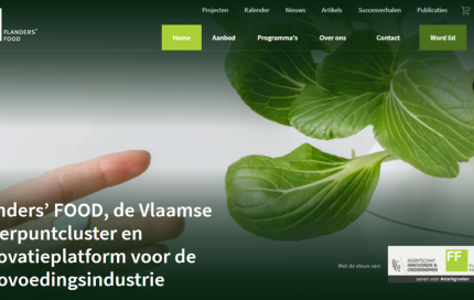 screenshot homepage website